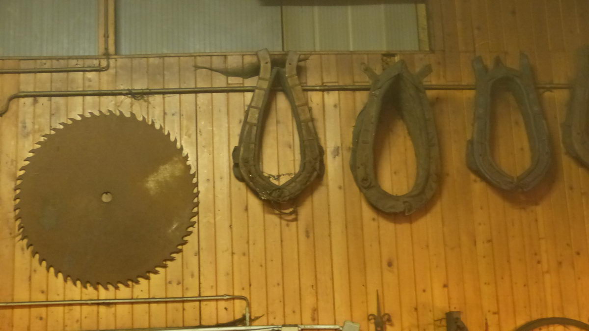 20170217 Haebe 36.jpg